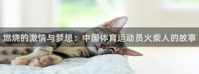 米兰体育官网下载平台APP：燃烧的激情与梦想：中国体育运动员