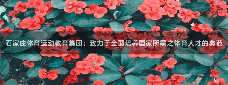 米兰体育官方正版app科技：石家庄体育运动教育集团：致力于全