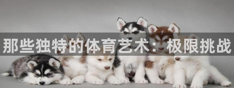 米兰体育官方正版app开户