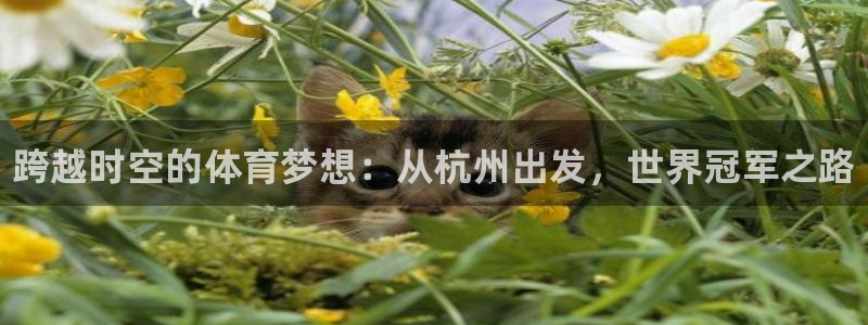 注册米兰体育官方正版app：跨越时空的体育梦想：从杭