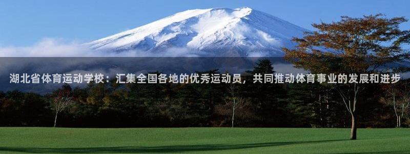 米兰体育官方正版app娱乐首页官网下载