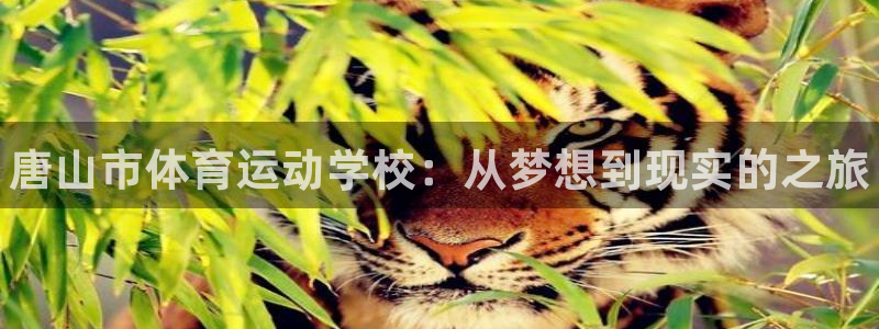 米兰体育官方正版app娱乐下载：唐山市体育运动学校：
