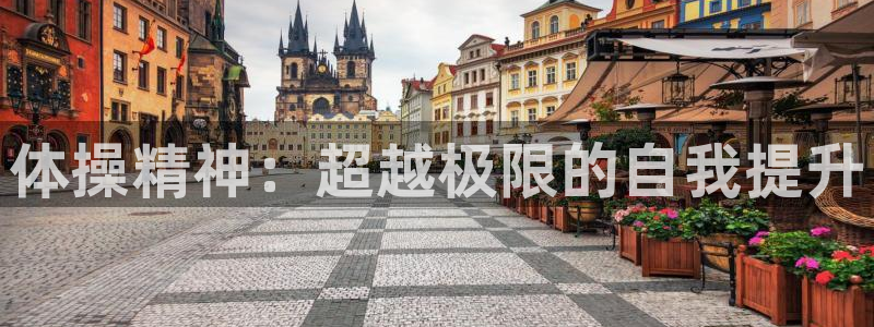 米兰体育官方正版app娱乐网站