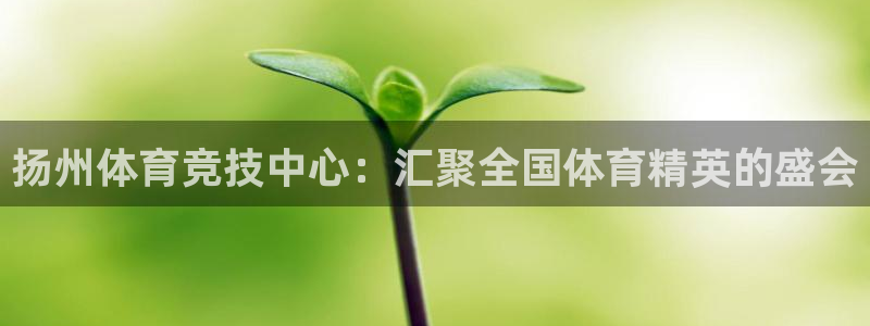米兰体育官方正版app集团简介：扬州体育竞技中心：汇聚全国体