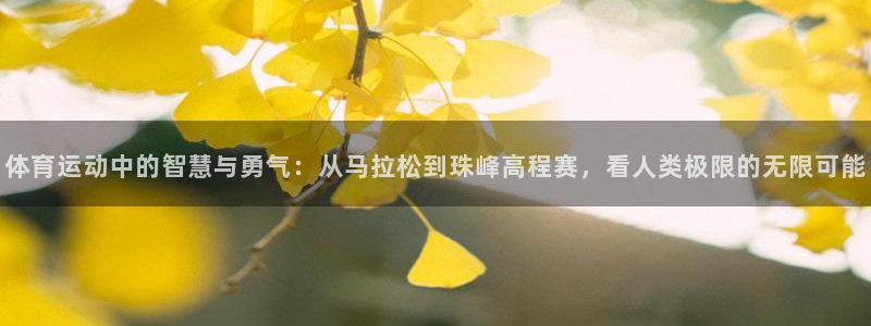 注册米兰体育官方正版app：体育运动中的智慧与勇气：