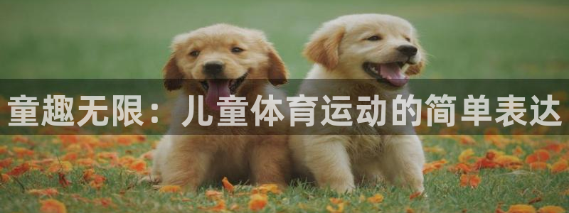 米兰体育官网下载是干嘛的公司：童趣无限：儿童体育运动的简单表