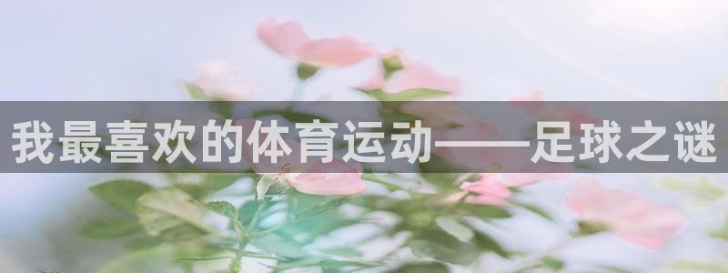 米兰体育官网下载招商：我最喜欢的体育运动——足球之谜