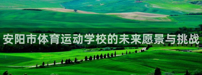 米兰体育官网下载平台APP：安阳市体育运动学校的未来愿景与挑