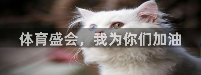 米兰体育官网下载平台注册流程图