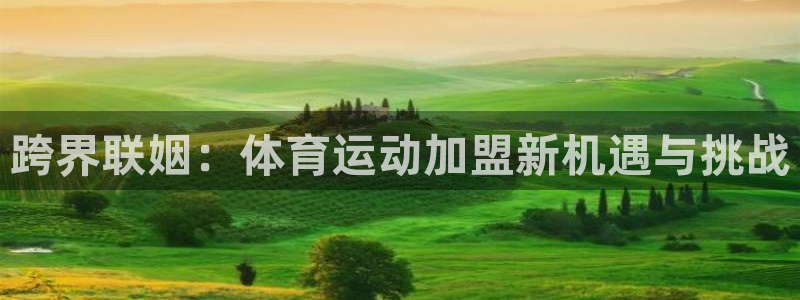 德国米兰体育官方正版app集团：跨界联姻：体育运动加盟新机遇