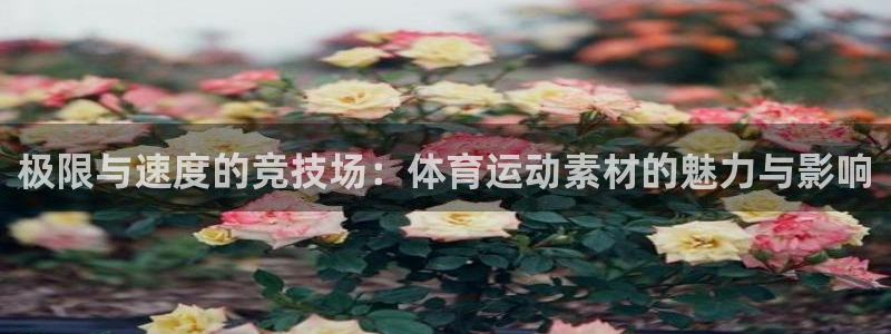 米兰体育官方集团官网