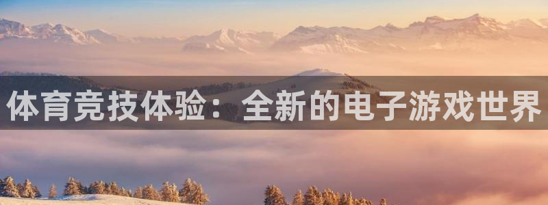 米兰体育是合法的吗：体育竞技体验：全
