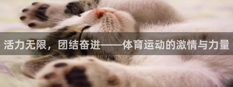 米兰体育全站登录入口官网网址：活力无