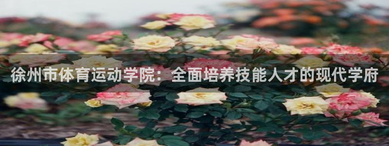 米兰体育馆：徐州市体育运动学院：全面