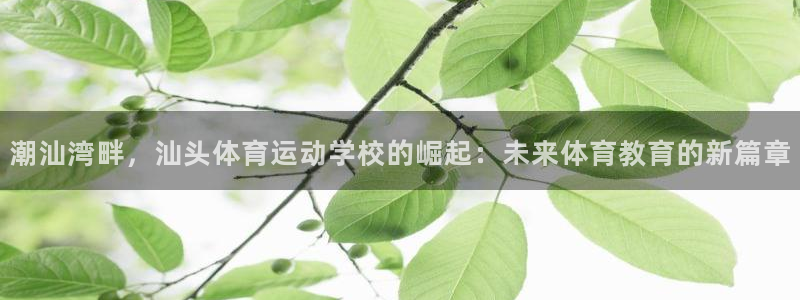 米兰体育app手机下载最新版：潮汕湾