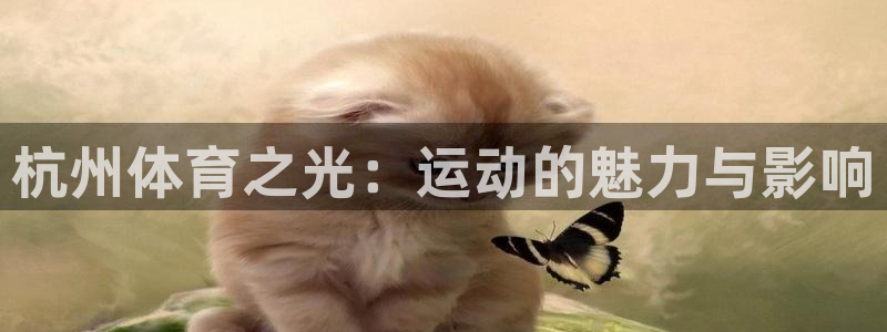 米兰体育比分查询：杭州体育之光：运动