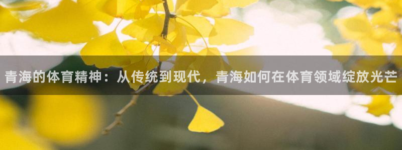 米兰体育场：青海的体育精神：从传统到