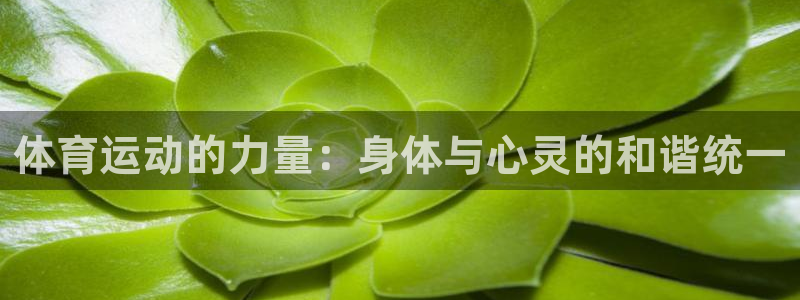 米兰体育场：体育运动的力量：身体与心