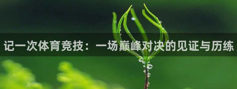 米兰体育app是外围嘛：记一次体育竞