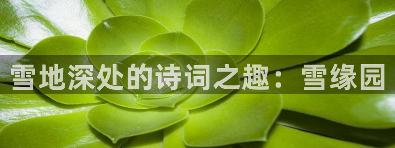 新闻图片