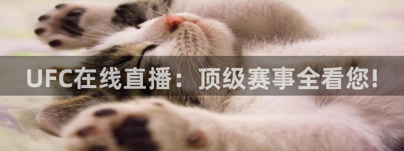 球神直播体育免费直播：UFC在线直播：顶级赛事全看您!