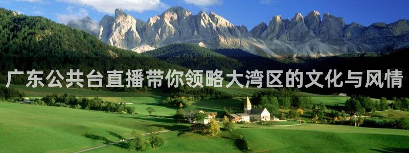 球神体育nba直播：广东公共台直播带你领略大湾区的文化与风情